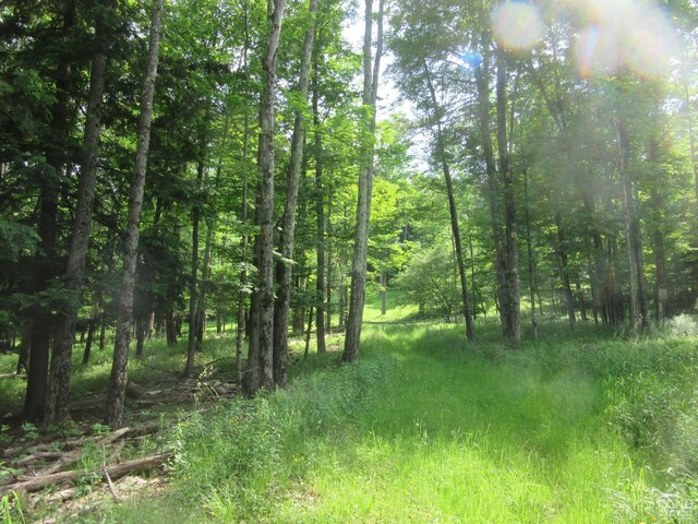 0 Rte 23c, Lot Lexington, NY 12452 - photo 3