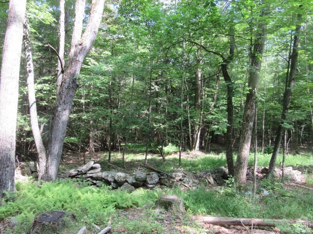 0 Rte 23c, Lot Lexington, NY 12452 - photo 18