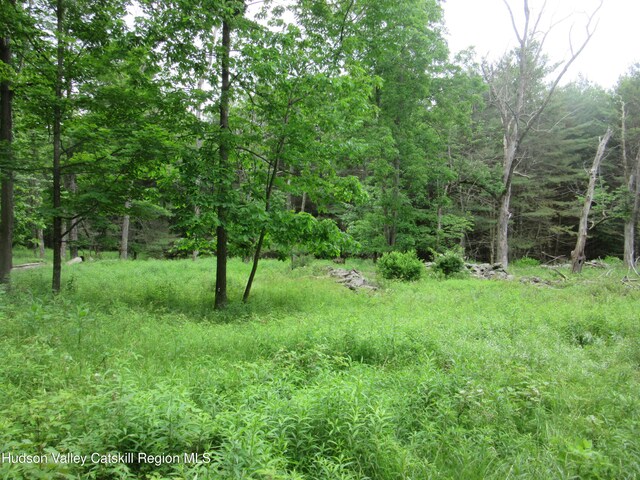 0 Rte 23c, Lot Lexington, NY 12452 - photo 33