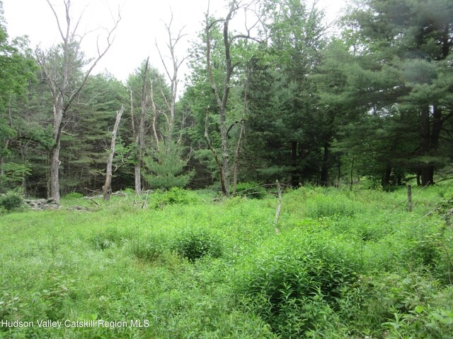 0 Rte 23c, Lot Lexington, NY 12452 - photo 34