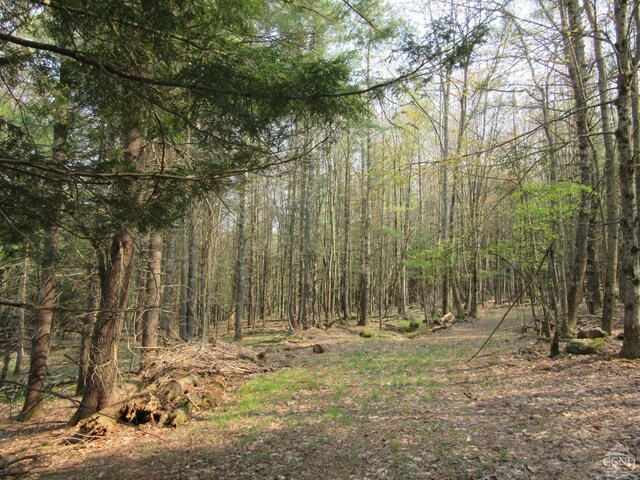 0 Rte 23c, Lot Lexington, NY 12452 - photo 6