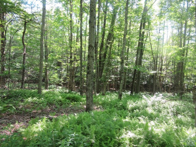 0 Rte 23c, Lot Lexington, NY 12452 - photo 28
