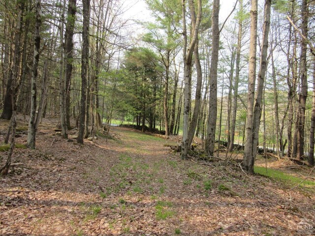 0 Rte 23c, Lot Lexington, NY 12452 - photo 4