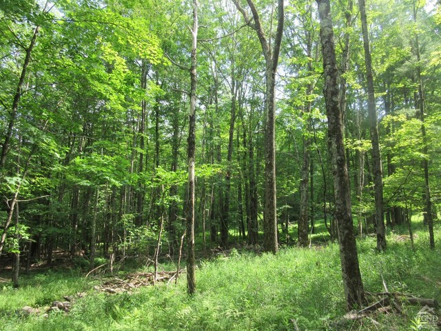 0 Rte 23c, Lot Lexington, NY 12452 - photo 19