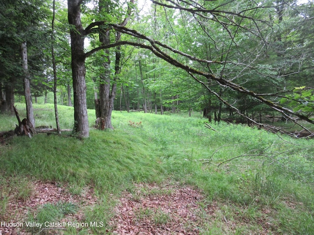 0 Rte 23c, Lot Lexington, NY 12452 - photo 39