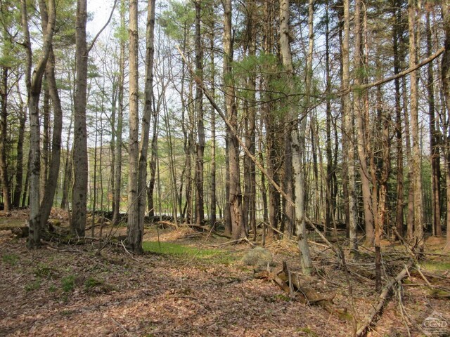 0 Rte 23c, Lot Lexington, NY 12452 - photo 17