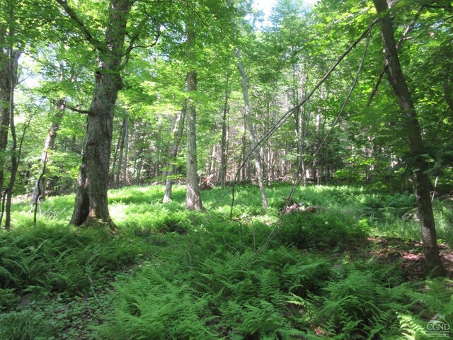 0 Rte 23c, Lot Lexington, NY 12452 - photo 11