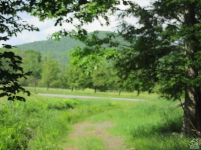 0 Rte 23c, Lot Lexington, NY 12452 - photo 1
