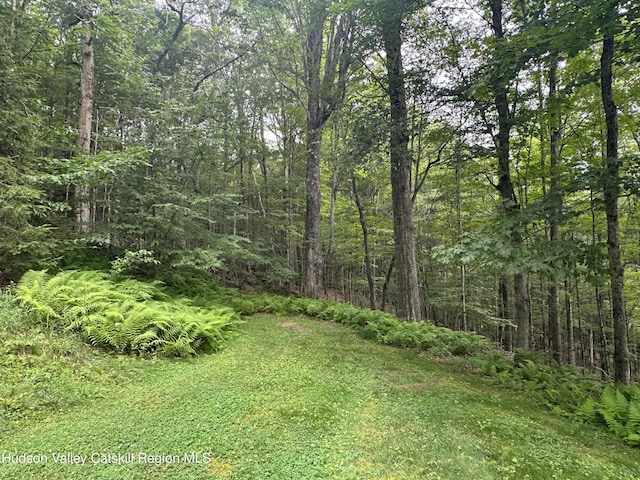 251 John Shultis Rd, Roxbury, NY 12474 - photo 49