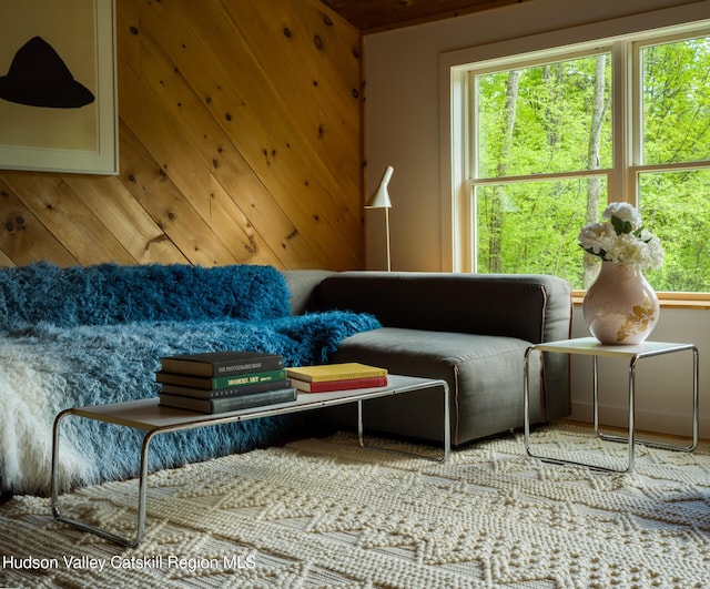 35 Jilroy Ln, Spencertown, NY 12165 - view of sitting room