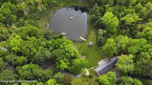 35 Jilroy Ln, Spencertown, NY 12165 - bird's eye view of a large body of water