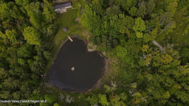 35 Jilroy Ln, Spencertown, NY 12165 - aerial view of property's location