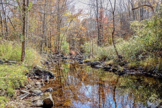 water view with a heavily wooded area