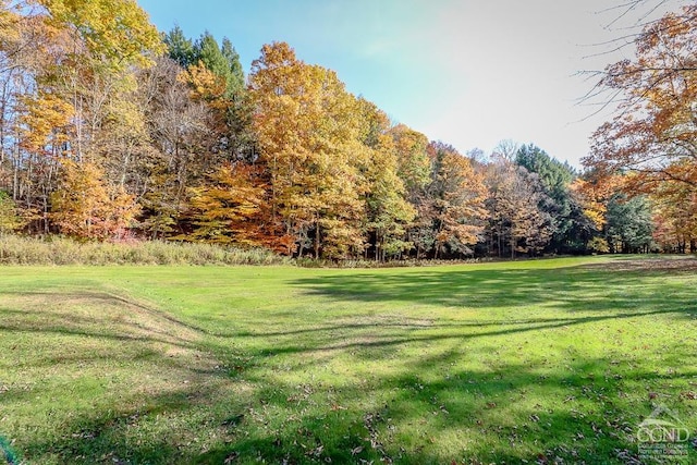 280 Newton Rd, Stephentown, NY 12169 - photo 40