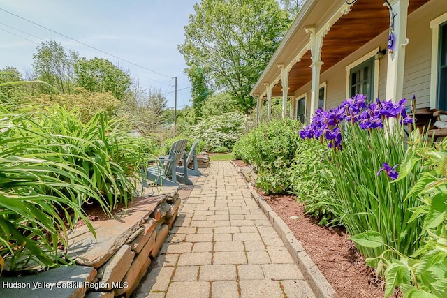 280 Newton Rd, Stephentown, NY 12169 - photo 5