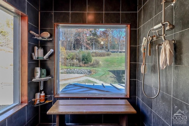 bathroom view