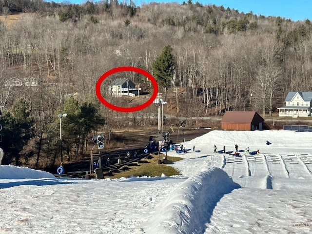 16 Hickory Hill Rd, Windham, NY 12496 - view of snowy yard