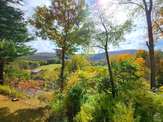 16 Hickory Hill Rd, Windham, NY 12496 - view of mountain background