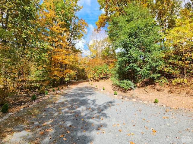 16 Hickory Hill Rd, Windham, NY 12496 - view of street