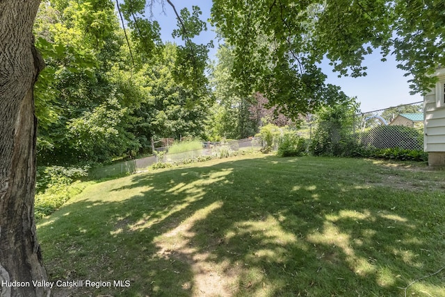 2 Dewitt Dr, Saugerties, NY 12477 - photo 59