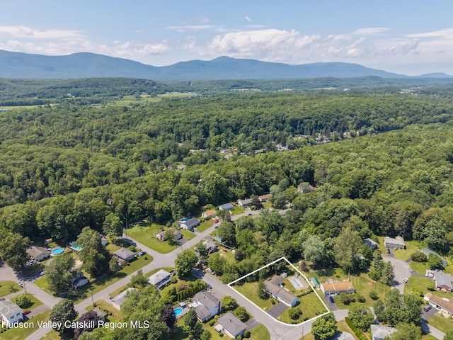 2 Dewitt Dr, Saugerties, NY 12477 - photo 63