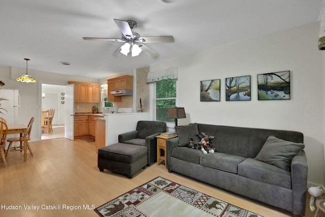 1055 Rte 212, Saugerties, NY 12477 - living area with light wood-style flooring and ceiling fan