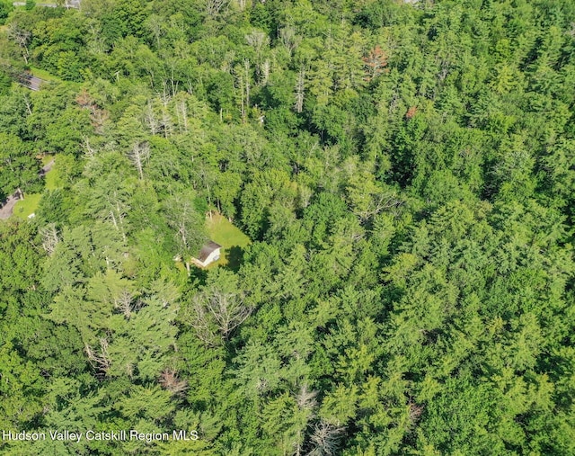 1055 Rte 212, Saugerties, NY 12477 - drone / aerial view of a heavily wooded area