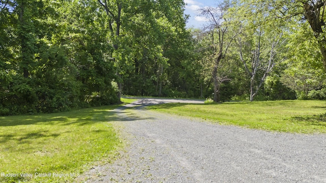 17 Partridge Rd, Hudson, NY 12534 - view of road featuring a forest view