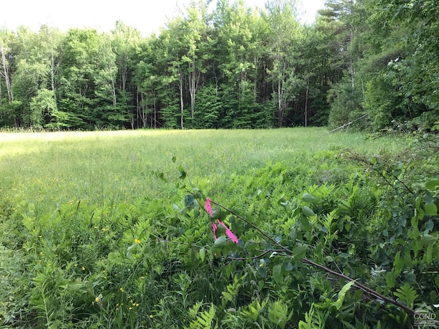 112 Cross Rds, Gilboa, NY 12076