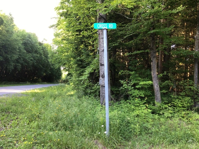 112 Cross Rds, Gilboa, NY 12076