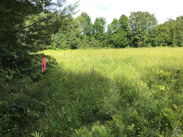 112 Cross Rds, Gilboa, NY 12076