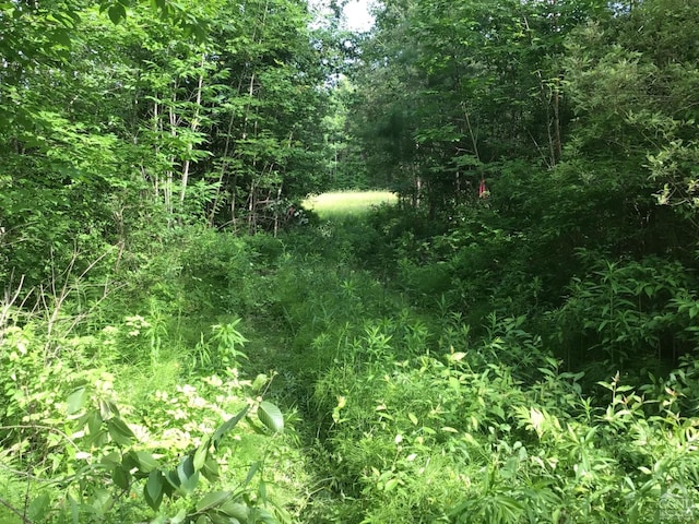112 Cross Rds, Gilboa, NY 12076