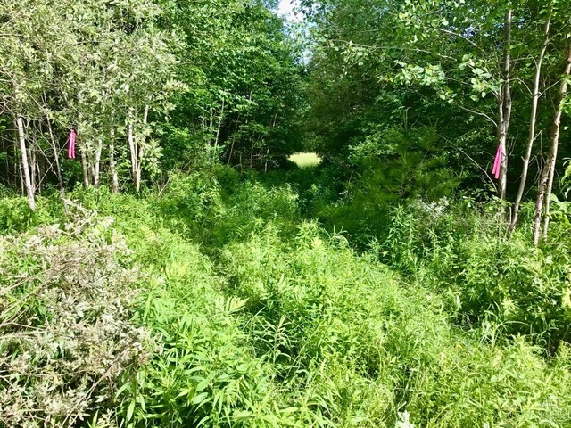 112 Cross Rds, Gilboa, NY 12076