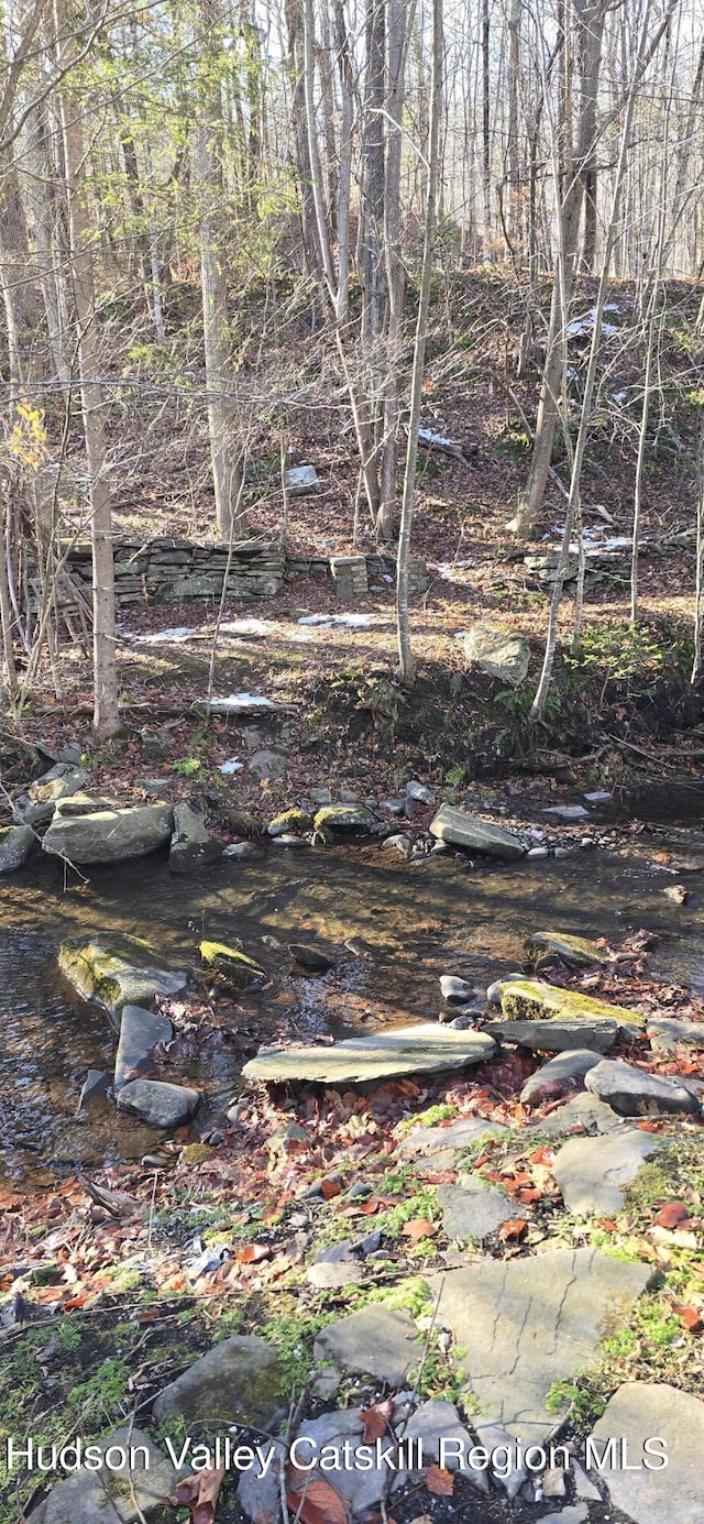 view of local wilderness