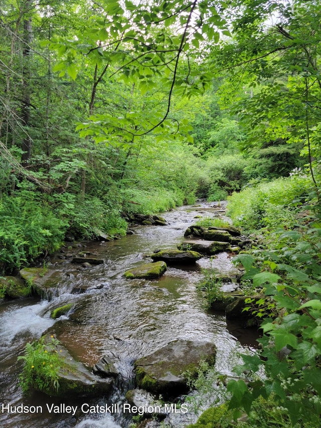 view of local wilderness