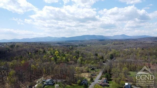 57 Bushnell Ave, Catskill, NY 12414 - mountain view featuring a heavily wooded area