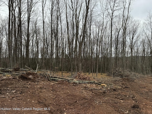 Listing photo 2 for Tbd State Highway 23, Grand Gorge NY 12434