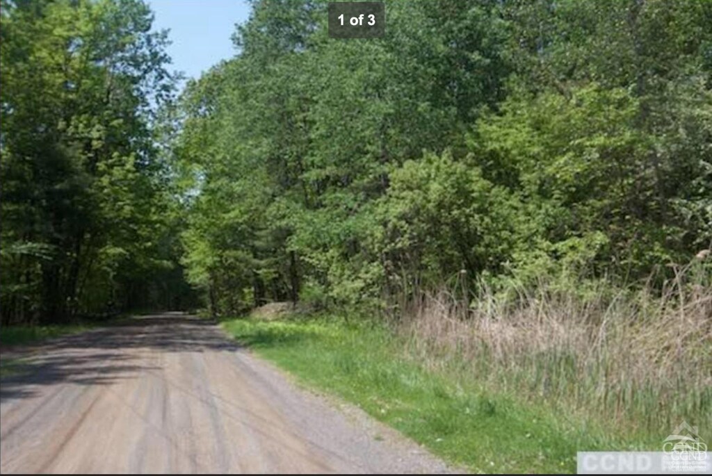 0 Engel Rd, Chatham, NY 12037