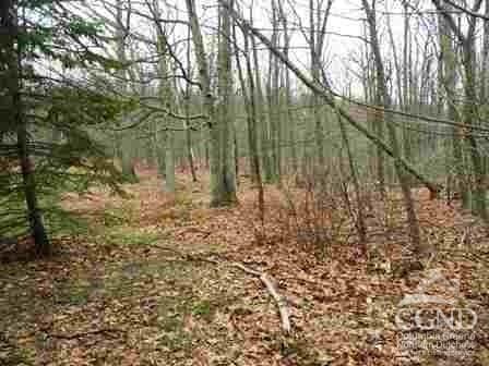 622 Bean River Rd, Millerton, NY 12546 - photo 3