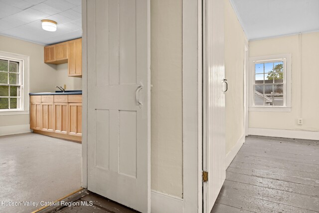 1 Green St, Gilbertsville, NY 13776 - hall with baseboards