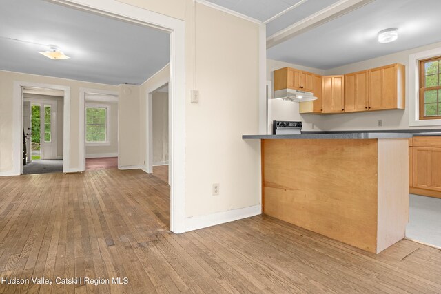 1 Green St, Gilbertsville, NY 13776 - kitchen with under cabinet range hood, hardwood / wood-style floors, light brown cabinetry, dark countertops, and baseboards