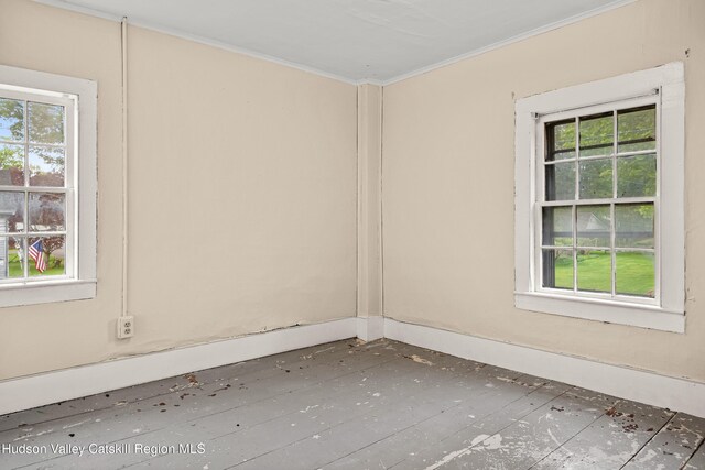 1 Green St, Gilbertsville, NY 13776 - unfurnished room featuring plenty of natural light and ornamental molding