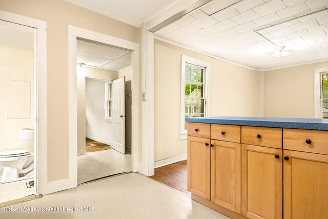 1 Green St, Gilbertsville, NY 13776 - kitchen featuring healthy amount of natural light, crown molding, and baseboards
