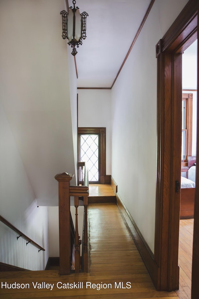 121 Birch Creek Rd, Pine Hill, NY 12465 - hall with wood-type flooring, plenty of natural light, and an upstairs landing