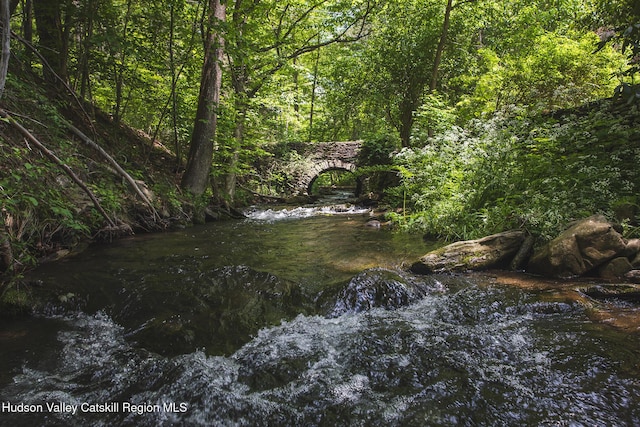121 Birch Creek Rd, Pine Hill, NY 12465 - water view featuring a forest
