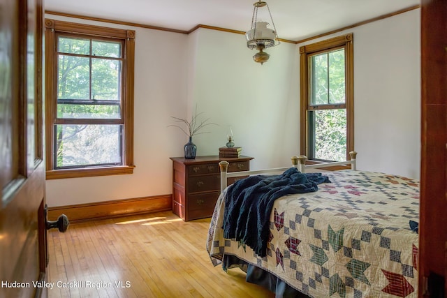 121 Birch Creek Rd, Pine Hill, NY 12465 - bedroom with multiple windows, ornamental molding, and light wood-style floors