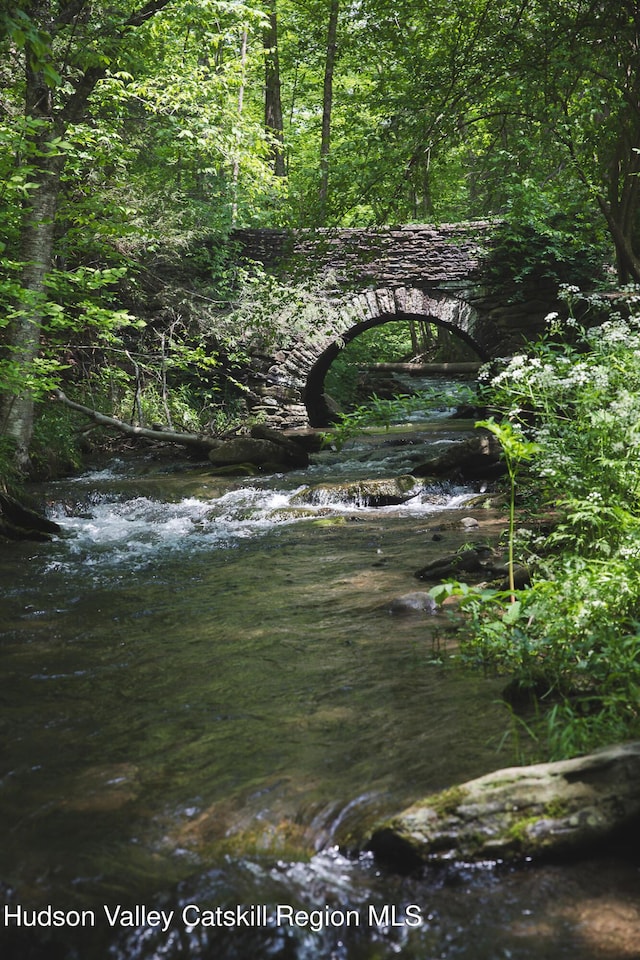 121 Birch Creek Rd, Pine Hill, NY 12465 - view of wooded area