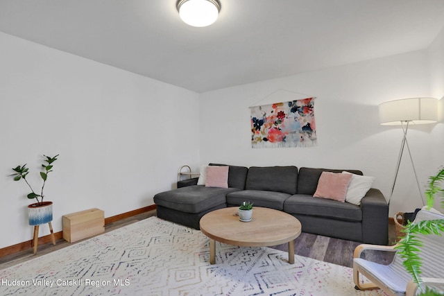 living area with baseboards and wood finished floors