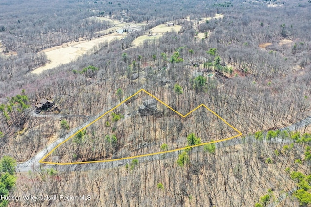 aerial view with a view of trees