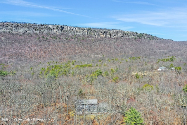 property view of mountains